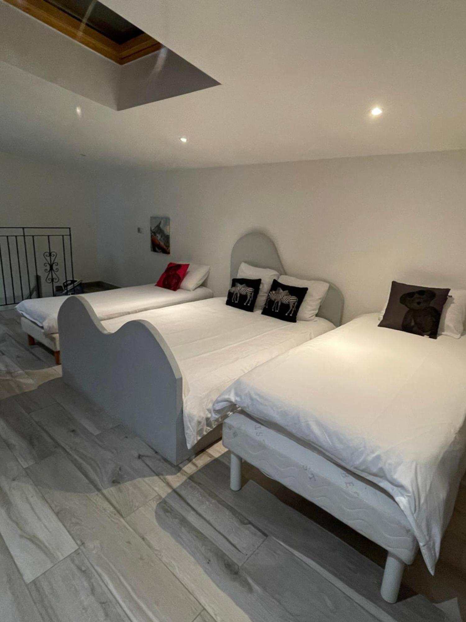 Appartement Superbe Loft Au Coeur De